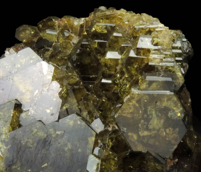 Epidote with Grossular Garnet from Val Sissone, near Chiareggio, Sondrio, Lombardia, Italy