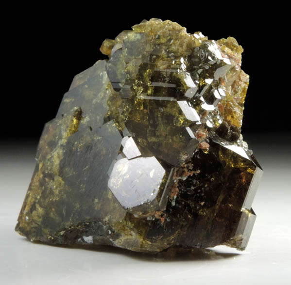 Epidote with Grossular Garnet from Val Sissone, near Chiareggio, Sondrio, Lombardia, Italy