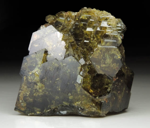 Epidote with Grossular Garnet from Val Sissone, near Chiareggio, Sondrio, Lombardia, Italy