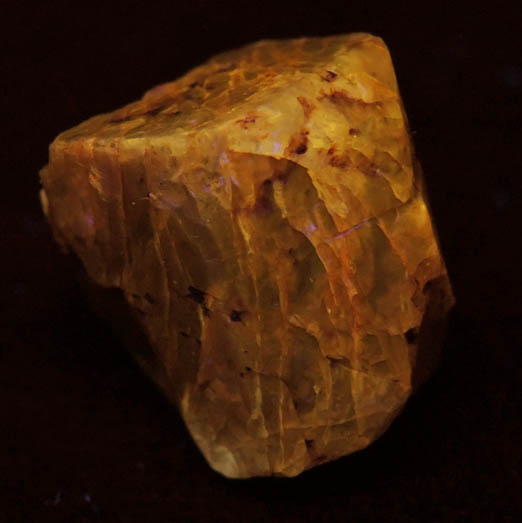 Zircon from Mud Tank, Alcoota Station, Harts Range, Northern Territory, Australia