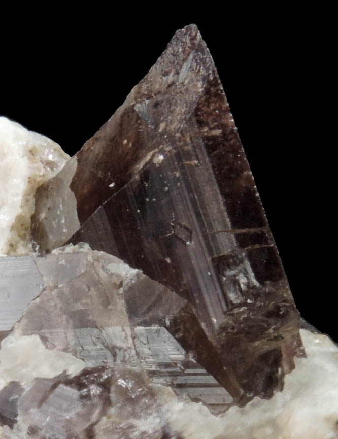 Axinite-(Fe) from Bourg d'Oisans, Isere, Dauphin Region, Rhone-Alpes, France (Type Locality for Axinite-(Fe))