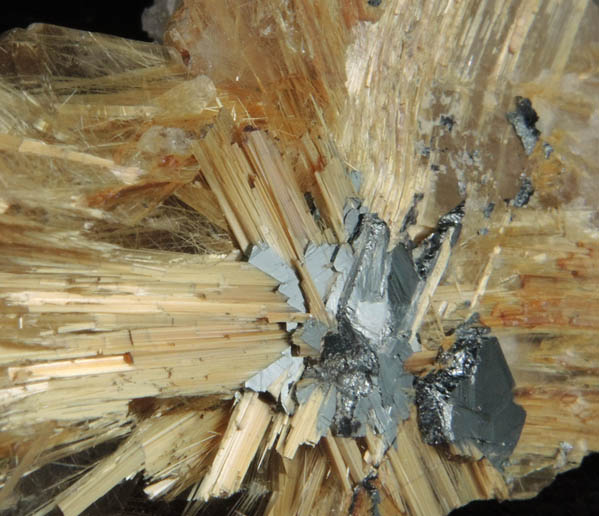 Rutile and Hematite in Smoky Quartz from Novo Horizonte, Bahia, Brazil