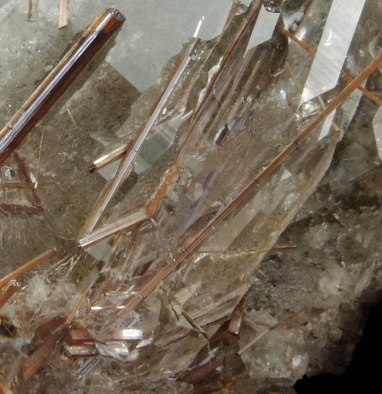 Quartz with Rutile inclusions (Rutilated Quartz) from Novo Horizonte, Bahia, Brazil