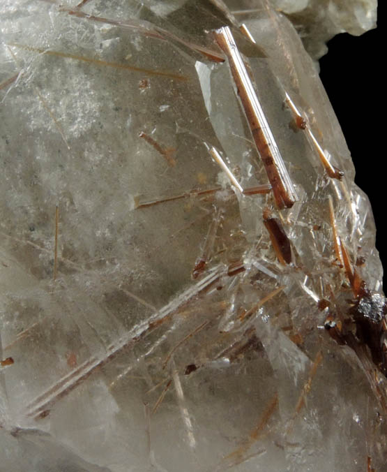 Quartz with Rutile inclusions (Rutilated Quartz) from Novo Horizonte, Bahia, Brazil