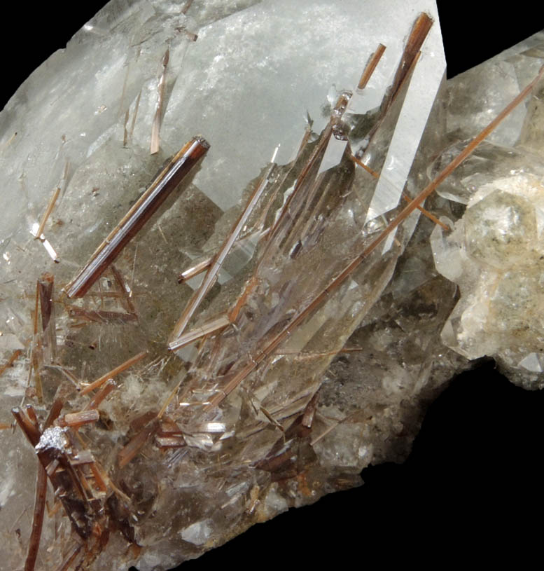 Quartz with Rutile inclusions (Rutilated Quartz) from Novo Horizonte, Bahia, Brazil