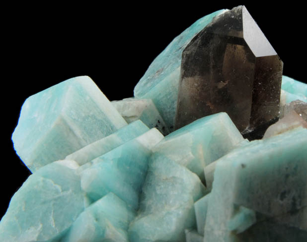 Quartz var. Smoky on Microcline var. Amazonite from Crystal Peak area, 6.5 km northeast of Lake George, Park-Teller Counties, Colorado