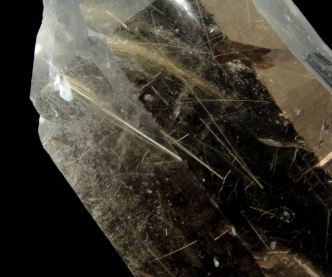 Quartz with Rutile inclusions (Rutilated Quartz) from Novo Horizonte, Bahia, Brazil