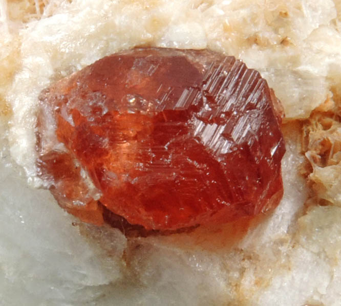 Spessartine Garnet on Microcline from Galilia, Minas Gerais, Brazil