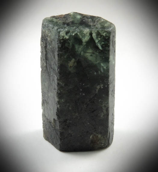 Beryl var. Black Beryl from Lavra do Joo Pinto, Fazenda Santa Elisa, Conselheiro Pena, Minas Gerais, Brazil