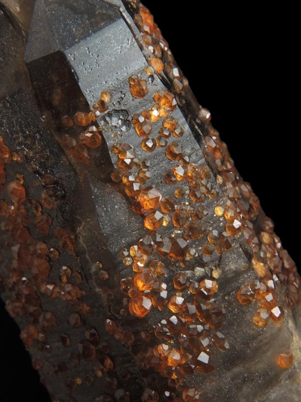 Spessartine Garnet on Smoky Quartz from Tongbei-Yunling District, Fujian Province, China