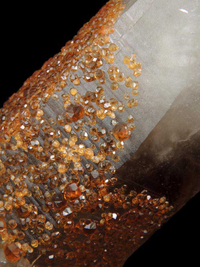 Spessartine Garnet on Smoky Quartz from Tongbei-Yunling District, Fujian Province, China