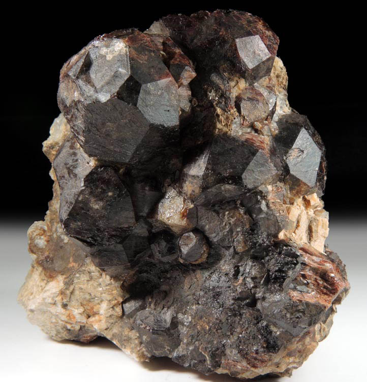 Almandine Garnet from Russell, Hampden County, Massachusetts