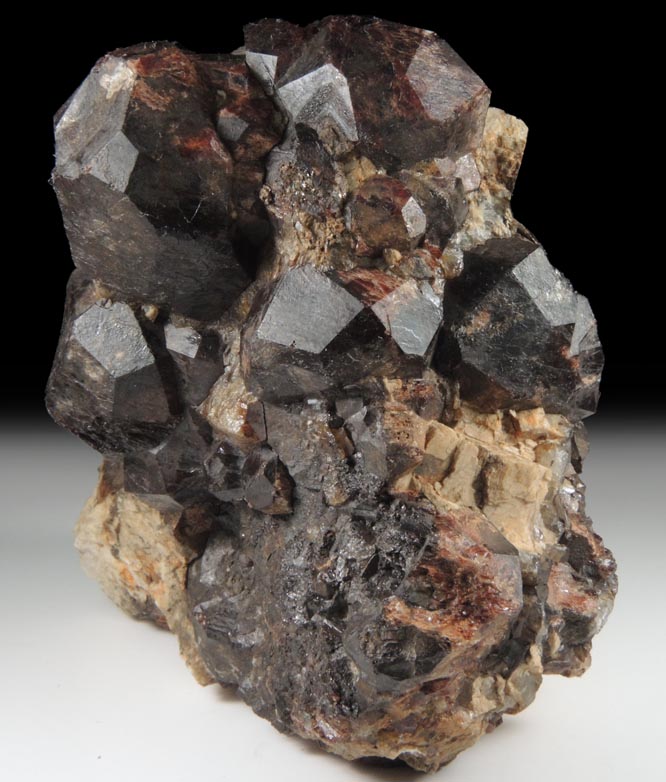 Almandine Garnet from Russell, Hampden County, Massachusetts