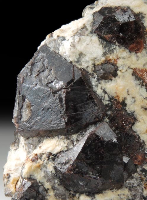 Almandine Garnet from Russell, Hampden County, Massachusetts