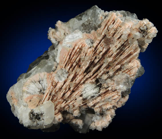 Albite pseudomorphs after Anhydrite with Calcite and Pectolite from Scotch Plains, Union County, New Jersey
