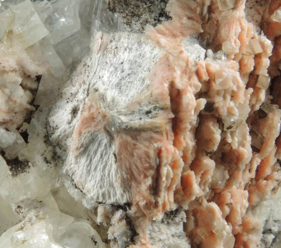 Albite pseudomorphs after Anhydrite with Calcite and Pectolite from Scotch Plains, Union County, New Jersey