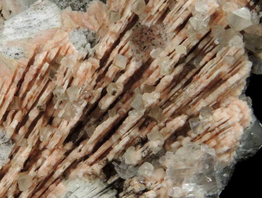 Albite pseudomorphs after Anhydrite with Calcite and Pectolite from Scotch Plains, Union County, New Jersey