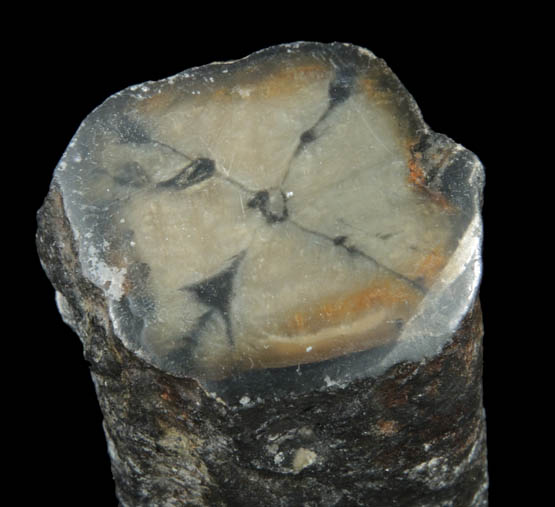 Andalusite var. Chiastolite from Sterling-Lancaster metamorphic area, Worcester County, Massachusetts