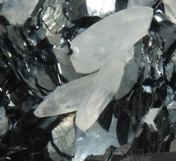 Hematite with Quartz from Rio Marina, Isola d'Elba, Tuscan Archipelago, Livorno, Italy