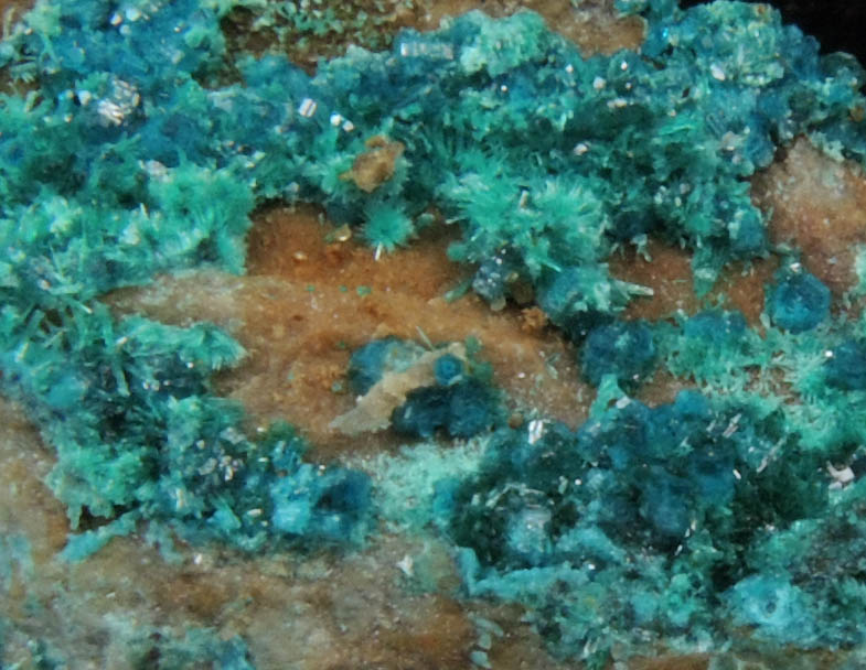 Spangolite and Brochantite on Quartz from Hansonburg District, 8.5 km south of Bingham, Socorro County, New Mexico