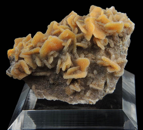 Wulfenite coated with drusy Quartz from Finch Mine (Barking Spider Mine), north of Hayden, Banner District, Gila County, Arizona