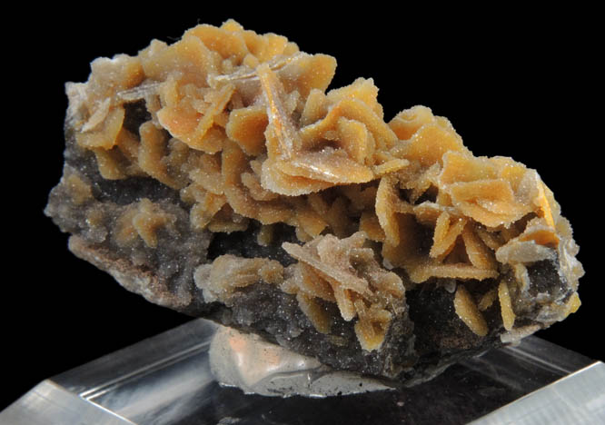 Wulfenite coated with drusy Quartz from Finch Mine (Barking Spider Mine), north of Hayden, Banner District, Gila County, Arizona