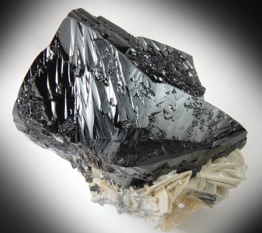 Cassiterite (twinned crystals) on Muscovite from Xuebaoding Mountain near Pingwu, Sichuan Province, China