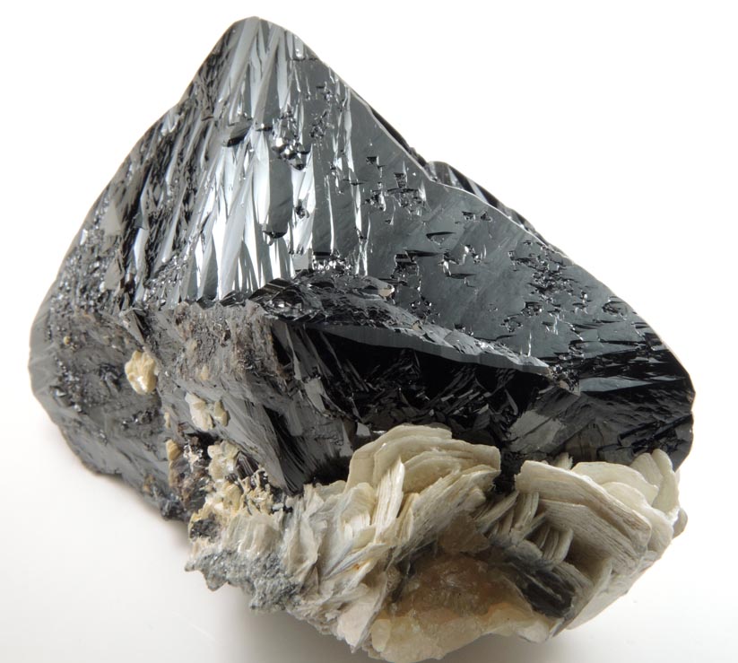 Cassiterite (twinned crystals) on Muscovite from Xuebaoding Mountain near Pingwu, Sichuan Province, China