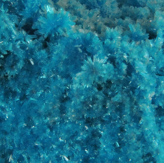 Cavansite with minor Stilbite-Ca from Wagholi Quarry, Maharashtra, India