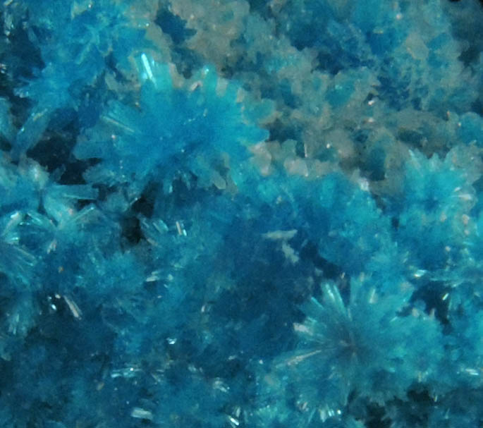 Cavansite with minor Stilbite-Ca from Wagholi Quarry, Maharashtra, India