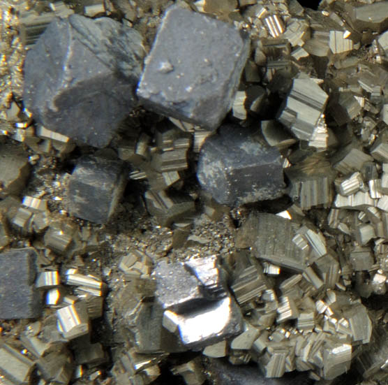 Galena with Pyrite from Eagle Mine, Gilman, Eagle County, Colorado