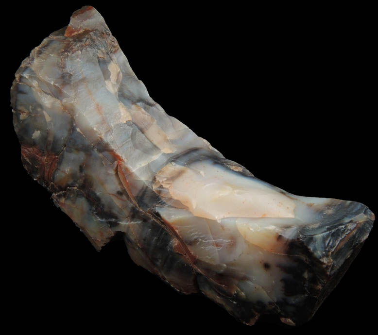 Quartz var. Silicified Wood (Petrified Wood) from Holbrook, Navajo County, Arizona