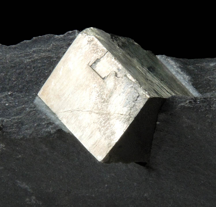 Pyrite in phyllite from Interstate 89 road cut, Montpelier, Washington County, Vermont