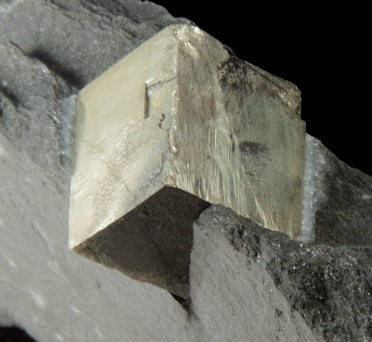 Pyrite in phyllite from Interstate 89 road cut, Montpelier, Washington County, Vermont