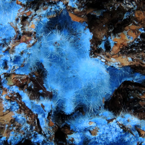 Cyanotrichite from Grandview Mine, Coconino County, Arizona