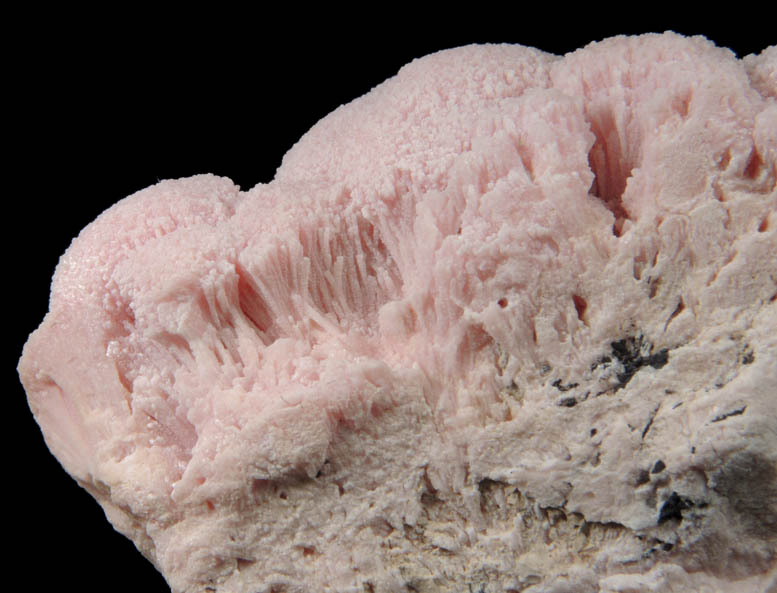 Kutnohorite from Wessels Mine, Kalahari Manganese Field, Northern Cape Province, South Africa