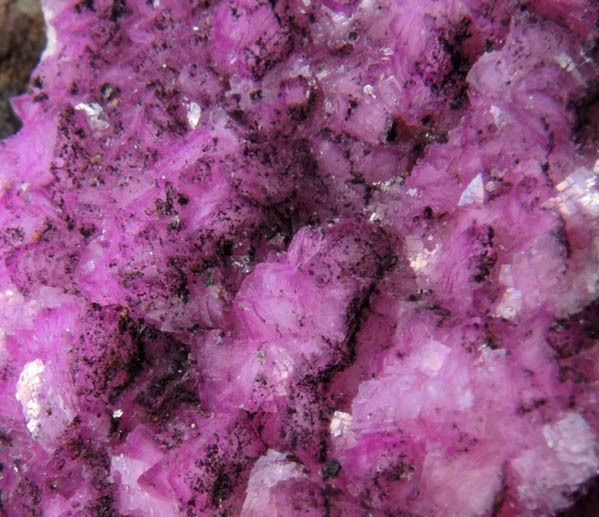 Calcite var. Cobaltoan Calcite from Bou Azzer District, Anti-Atlas Mountains, Tazenakht, Ouarzazate, Morocco