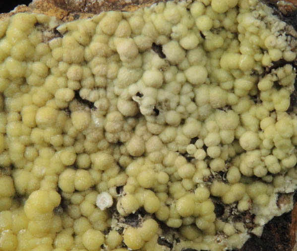 Mimetite-Pyromorphite from Roughton Gill Mine, Caldbeck Fells, Cumbria, England