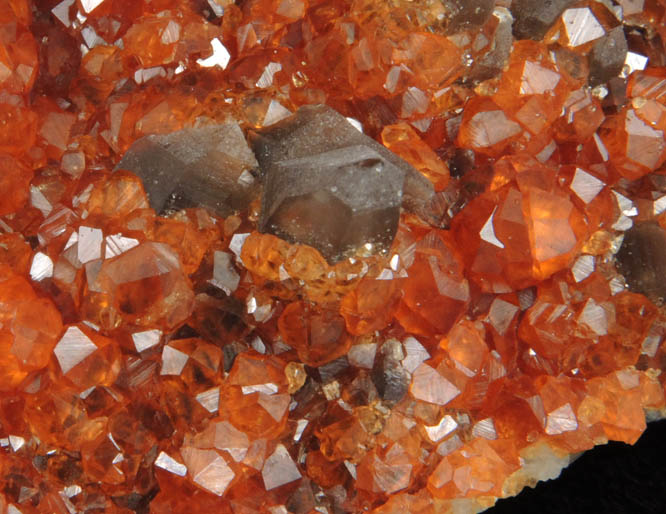 Spessartine Garnet on Smoky Quartz from Tongbei-Yunling District, Fujian Province, China