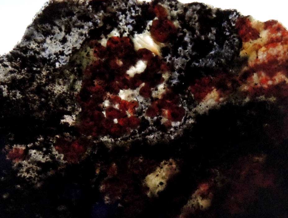 Almandine with Quartz in Biotite Schist (thin slab) from Spruce Pine District, Mitchell County, North Carolina