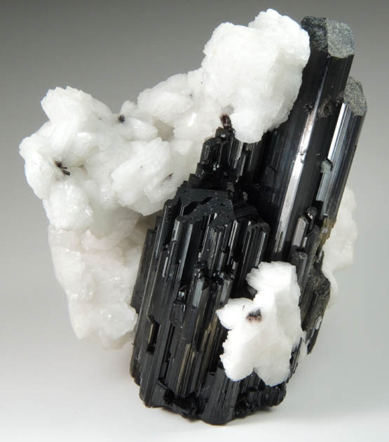 Schorl Tourmaline with Albite from Nyet Bruk, Braldu Valley, Skardu District, Gilgit-Baltistan, Pakistan