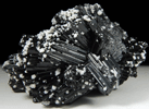 Schorl Tourmaline with Albite from Chhaqpu, Braldu Valley, Skardu District, Gilgit-Baltistan, Pakistan