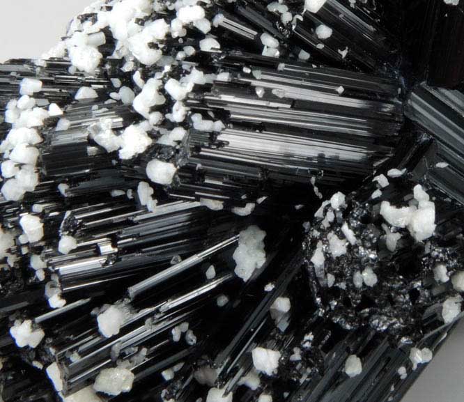 Schorl Tourmaline with Albite from Chhaqpu, Braldu Valley, Skardu District, Gilgit-Baltistan, Pakistan