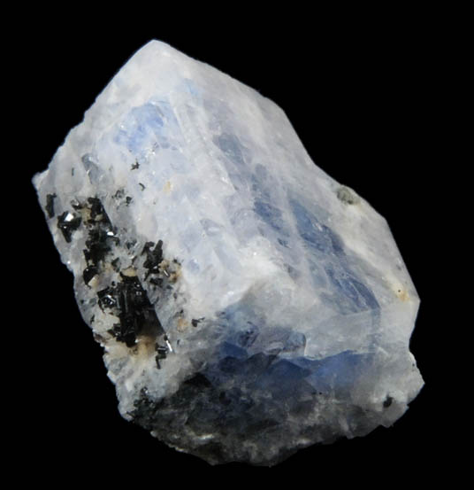 Carletonite with Aegirine from Poudrette Quarry, Mont Saint-Hilaire, Qubec, Canada (Type Locality for Carletonite)