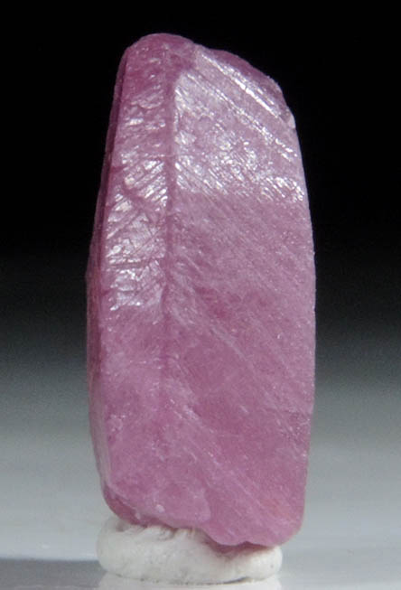 Corundum var. Ruby from Mysuru (formerly Mysore), Karnataka, India