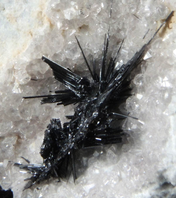 Pseudobrookite and Topaz on rhyolite from Thomas Range, Juab County, Utah