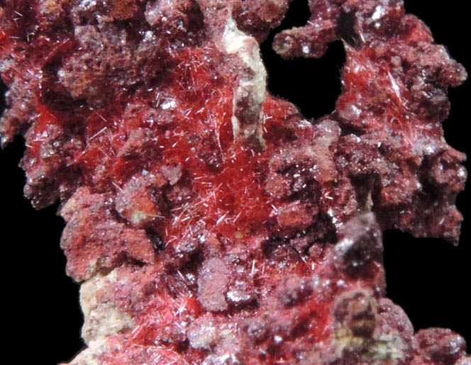 Cuprite var. Chalcotrichite on Copper from Globe-Miami District, Gila County, Arizona