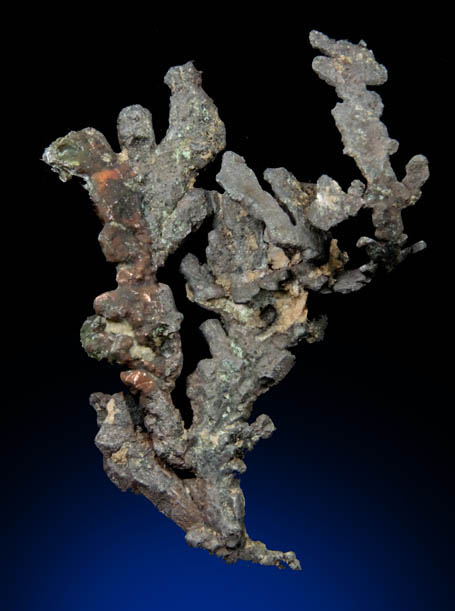 Copper (arborescent crystals) from Cornwall Iron Mines, Cornwall, Lebanon County, Pennsylvania