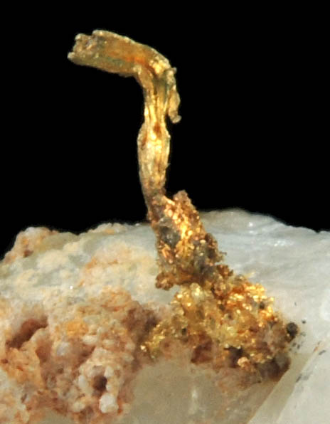 Gold on Quartz from Grass Valley District, Nevada County, California
