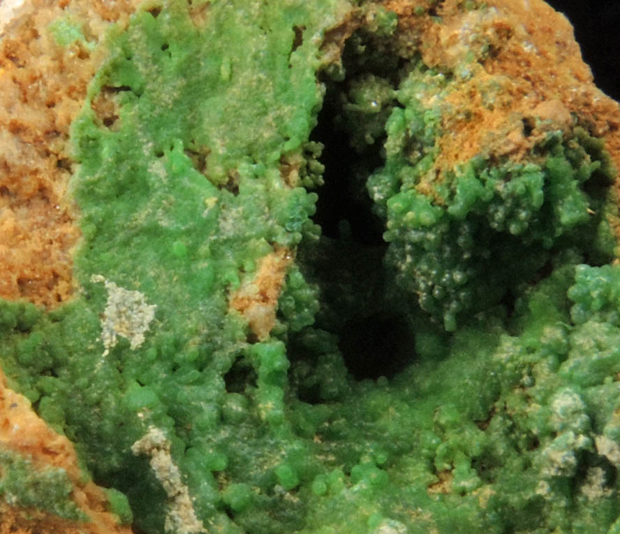 Conichalcite from San Rafael Mine, Nye County, Nevada